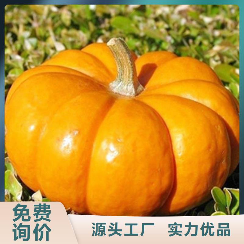 南瓜粒诚信企业