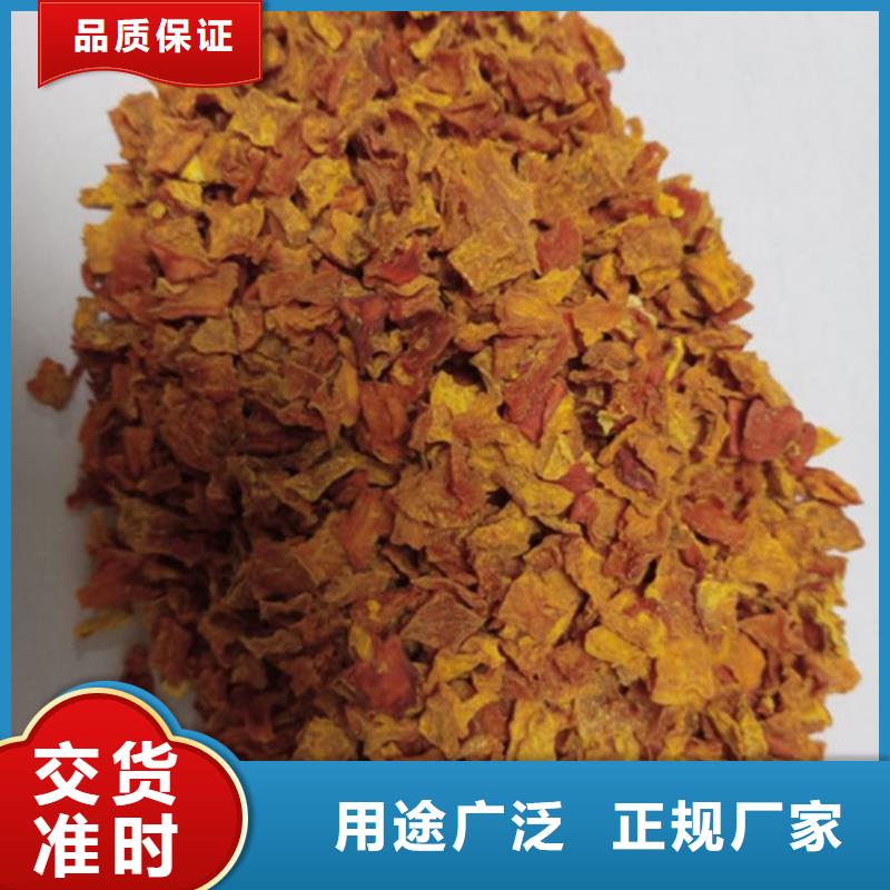 南瓜粒公司