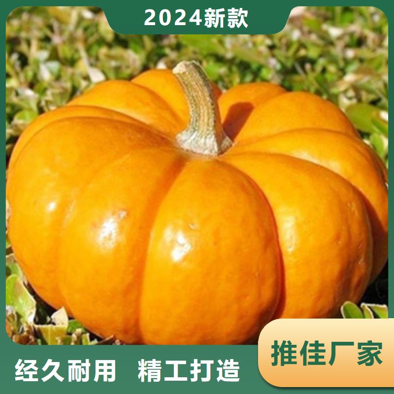 无皮南瓜粒零售