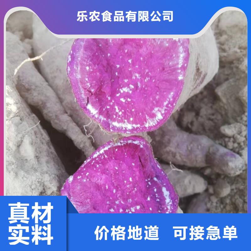 【 紫薯苗 南瓜粉厂家实力大】-乐农食品(巢湖市分公司)