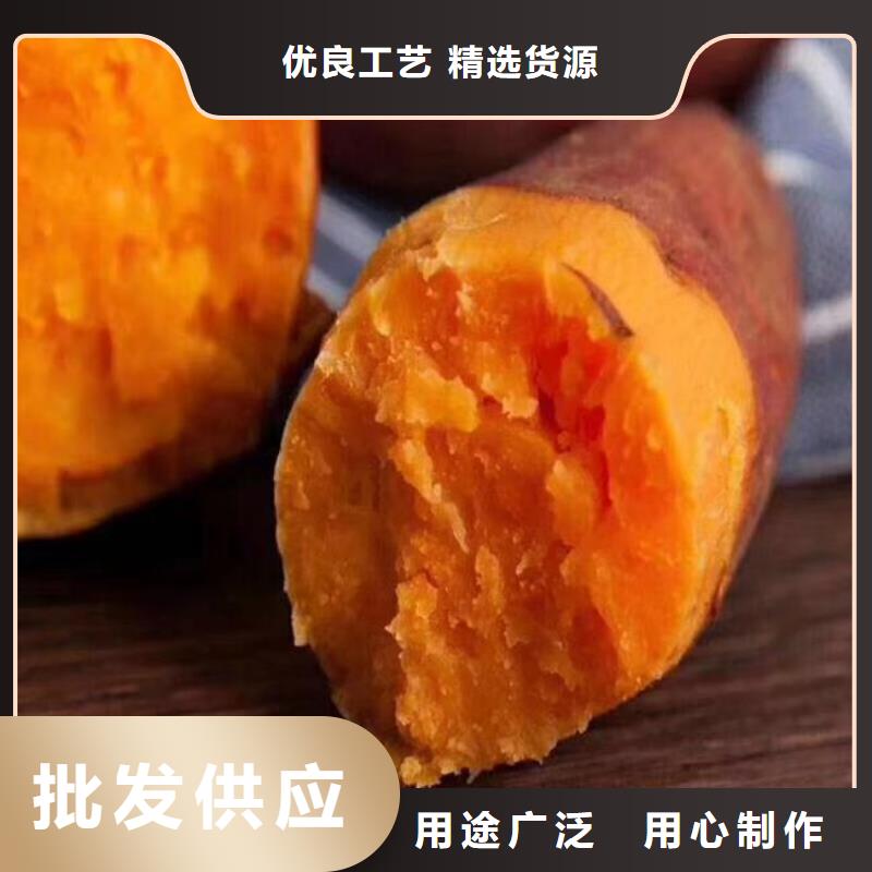 高产脱毒紫薯苗（凌紫品种）面向全国销售