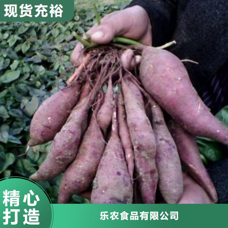【 紫薯苗 南瓜粉厂家实力大】-乐农食品(巢湖市分公司)