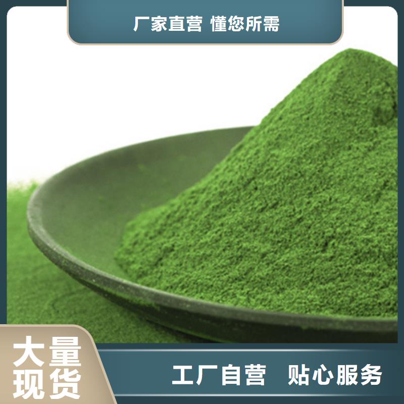 常年供应绿色菠菜粉-靠谱