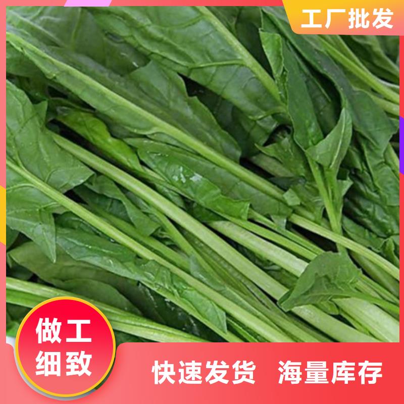 菠菜生粉来厂考察
