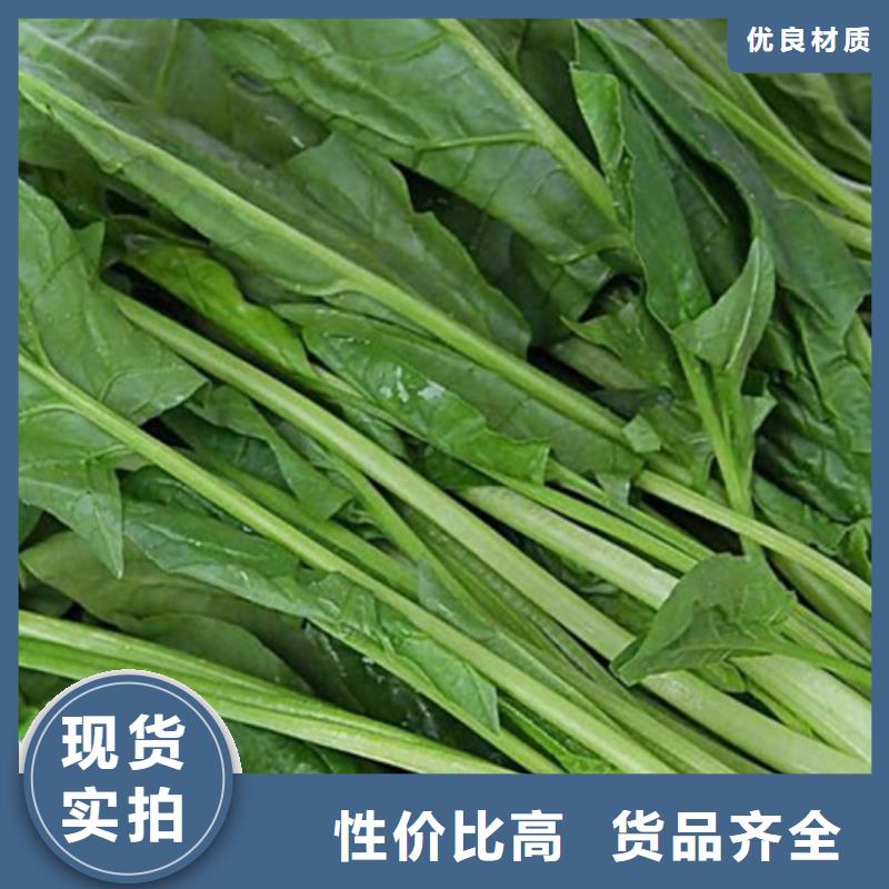 菠菜粉生产
