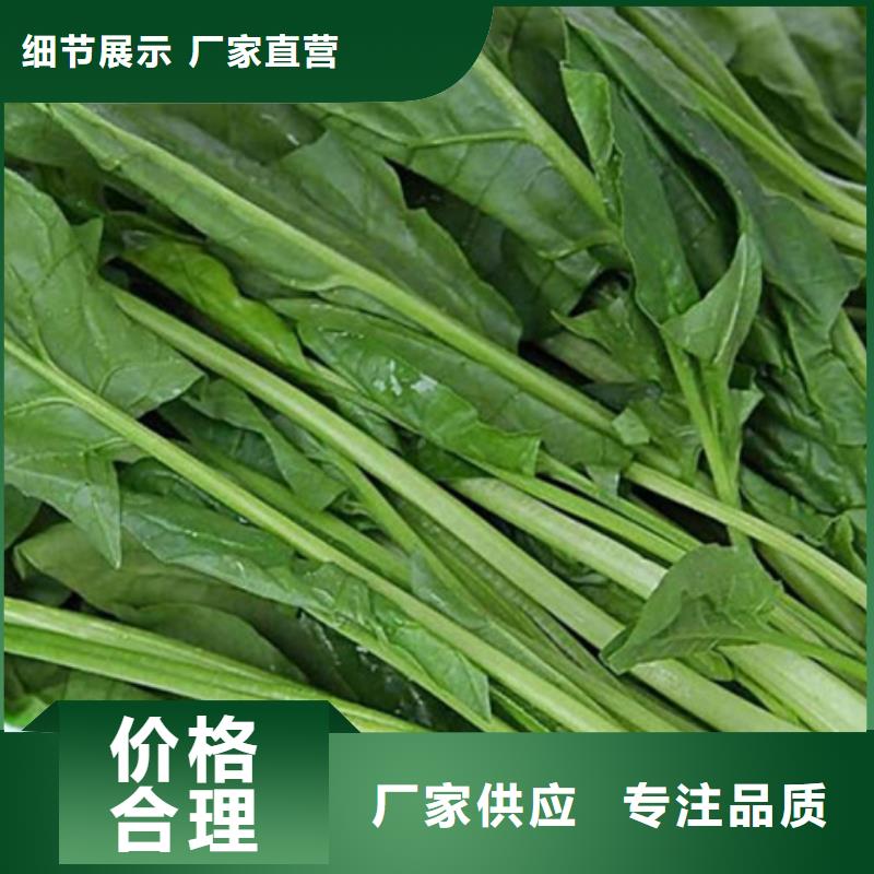 菠菜粉来电咨询