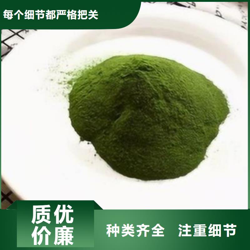 菠菜粉现货价格