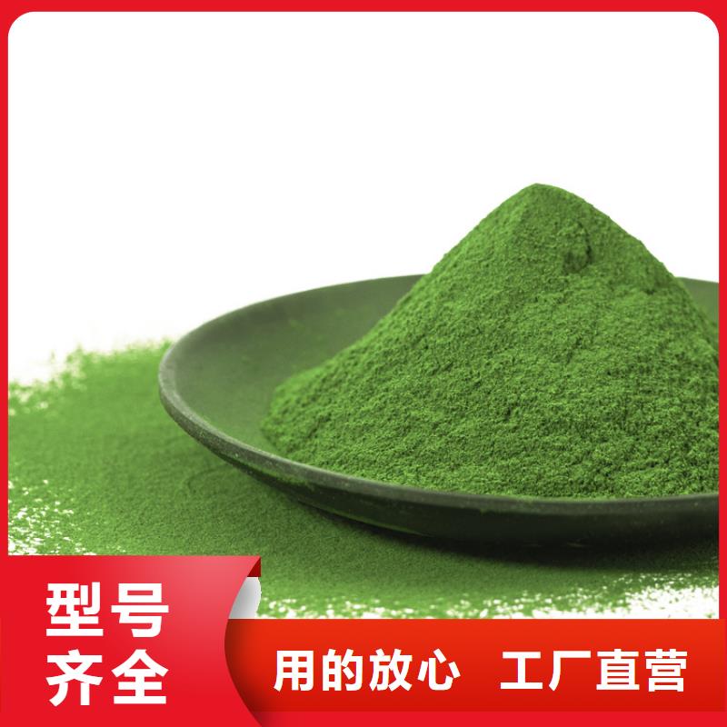 菠菜生粉来厂考察