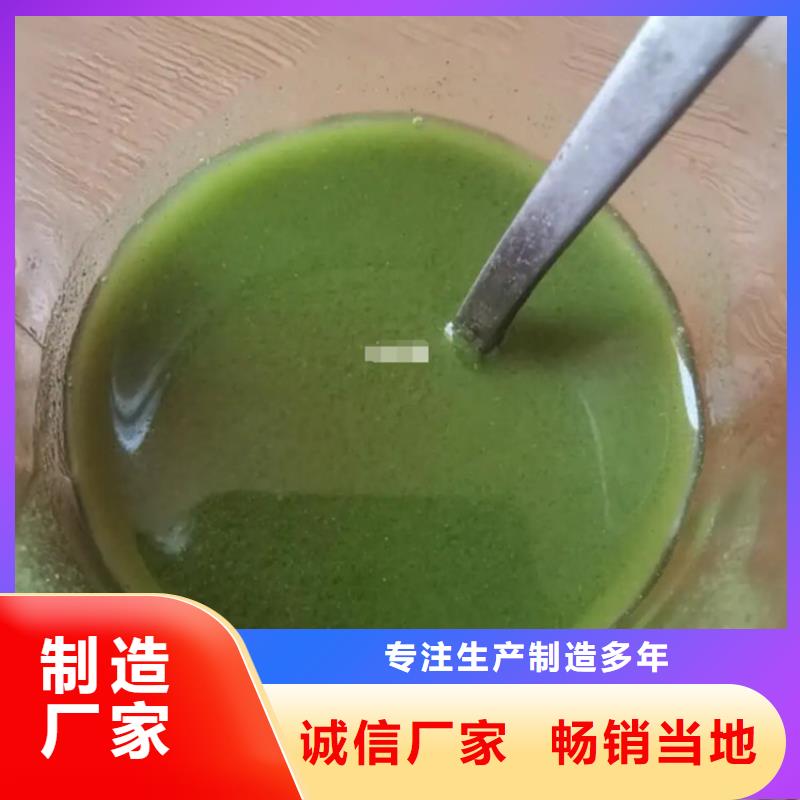 羽衣甘蓝粉生产厂家_大量现货