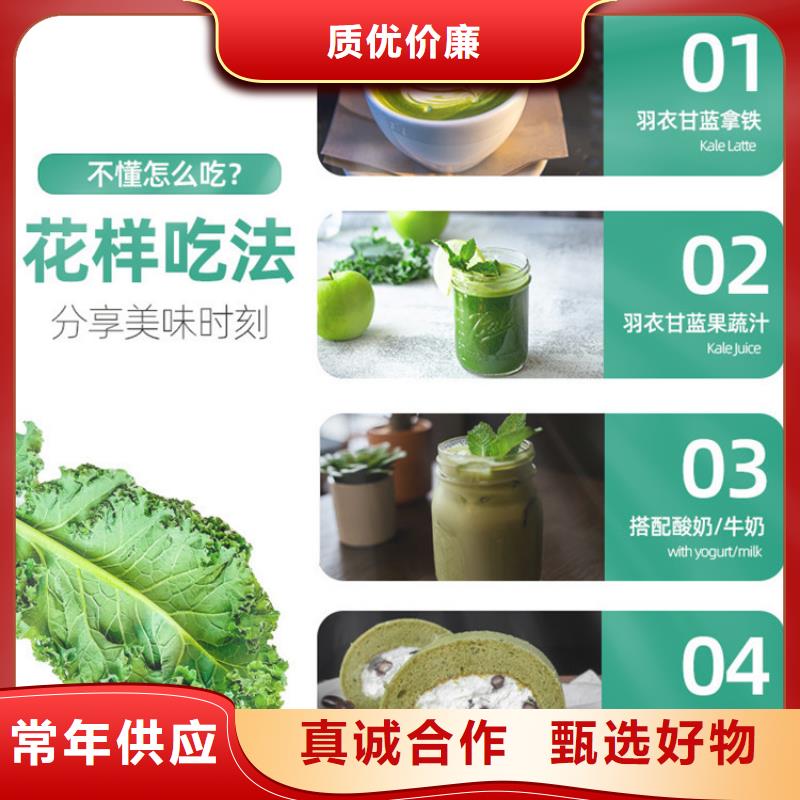 羽衣甘蓝粉优惠力度大