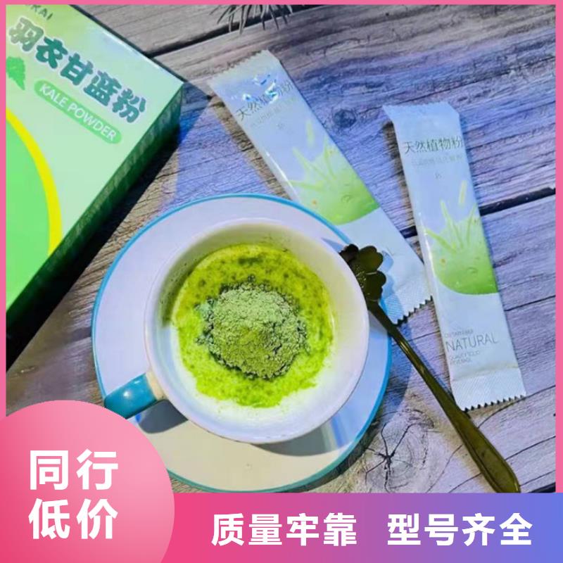 羽衣甘蓝粉-我们只做高品质