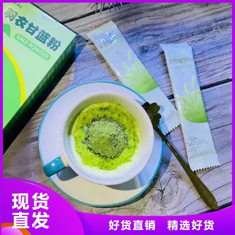 羽衣甘蓝粉现货批发