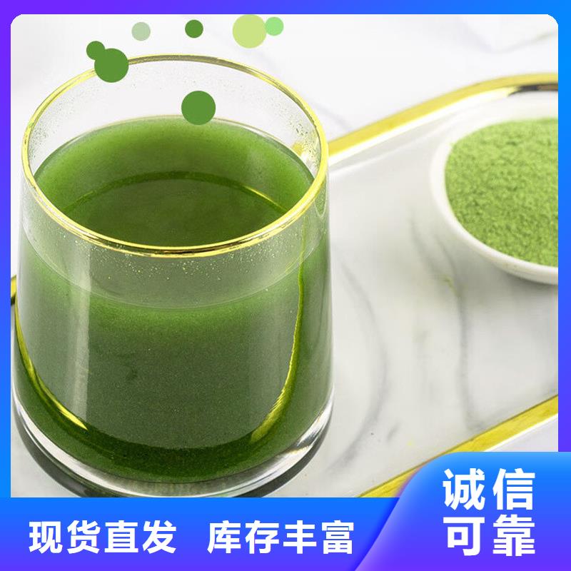 羽衣甘蓝粉生产厂家_大量现货