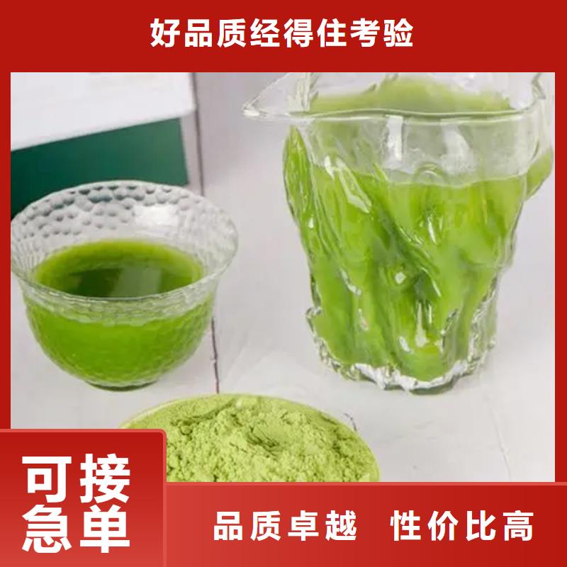 羽衣甘蓝价格