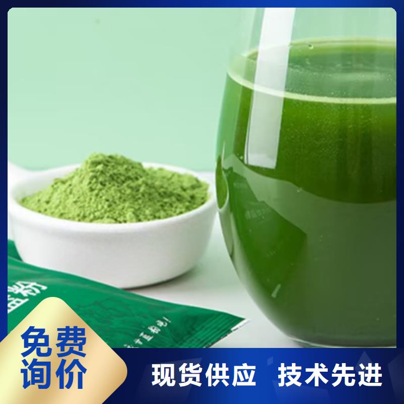 羽衣甘蓝厂家低价走货