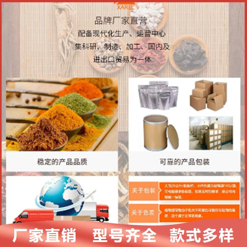 定制甘蓝粉_生产厂家