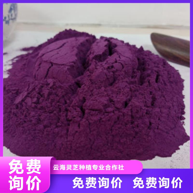 紫薯粉灵芝孢子粉批发厂家工艺先进