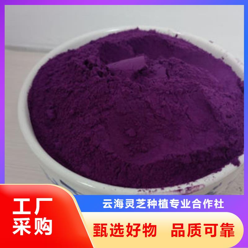 紫薯粉灵芝孢子粉选择我们选择放心