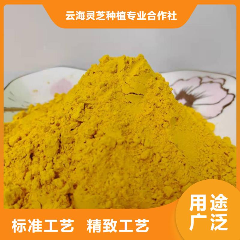南瓜粉-【灵芝】定制零售批发云海灵芝盆景