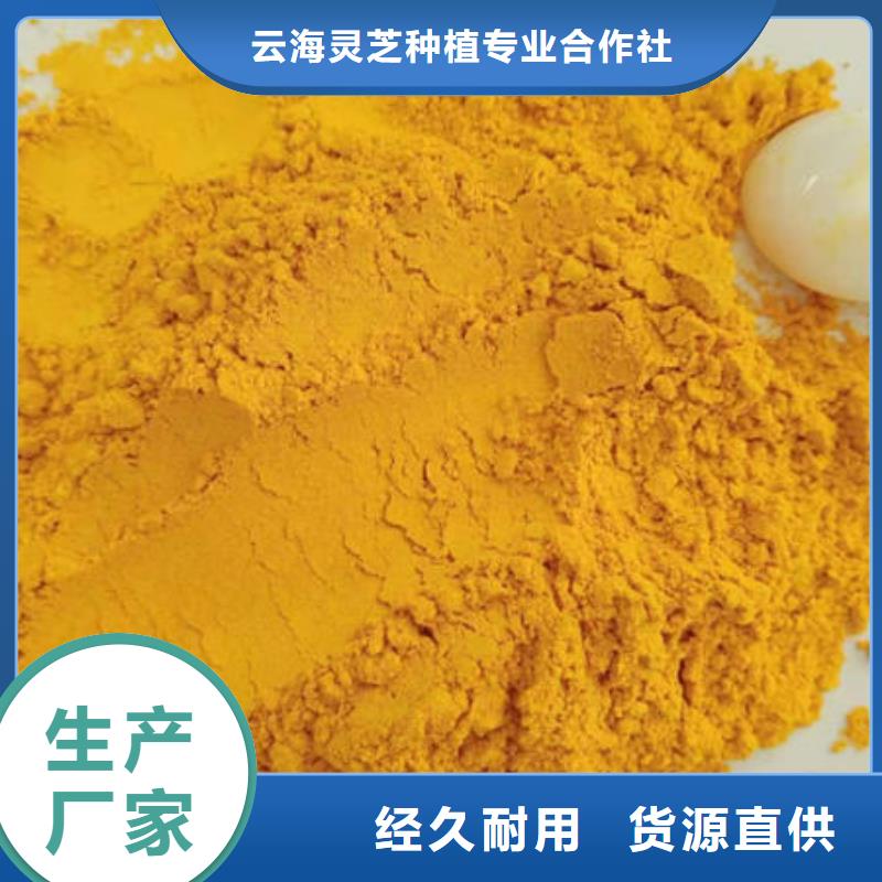 南瓜粉灵芝厂家采购