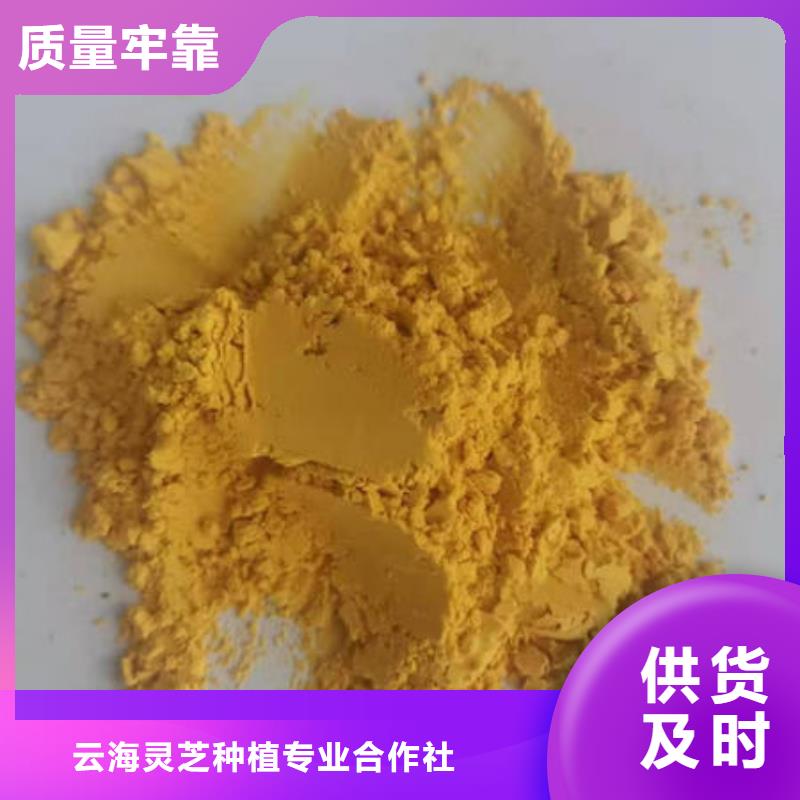 南瓜粉灵芝厂家采购