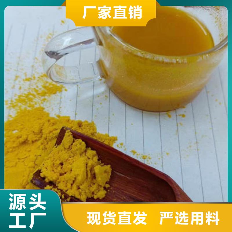 灵芝盆景视频-崇信|庄浪|兰州|甘南|酒泉|庆阳|武威云海灵芝盆景_ 云海灵芝种植专业社(平凉市分公司)