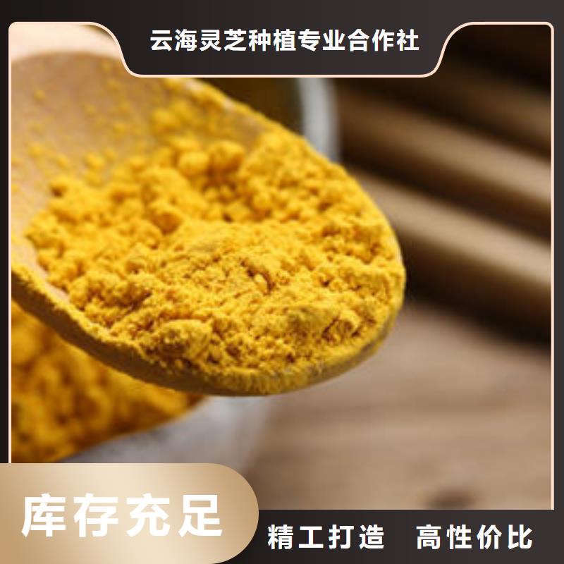 南瓜粉 【灵芝子实体切片】免费询价云海灵芝盆景