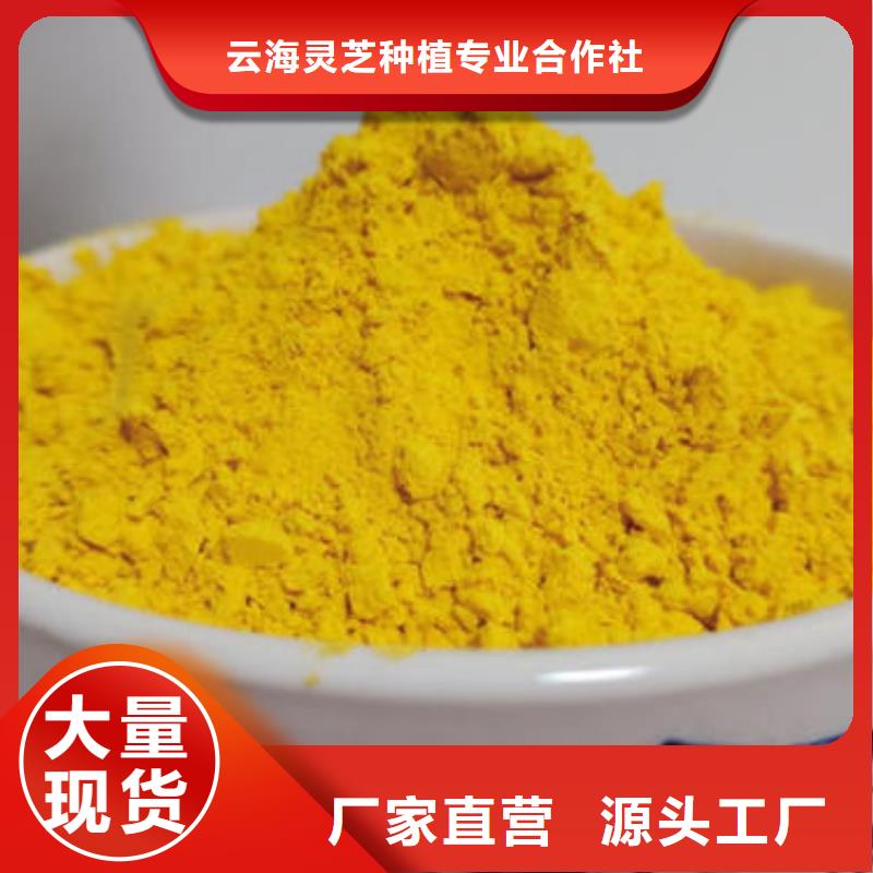 南瓜粉-【灵芝】定制零售批发云海灵芝盆景