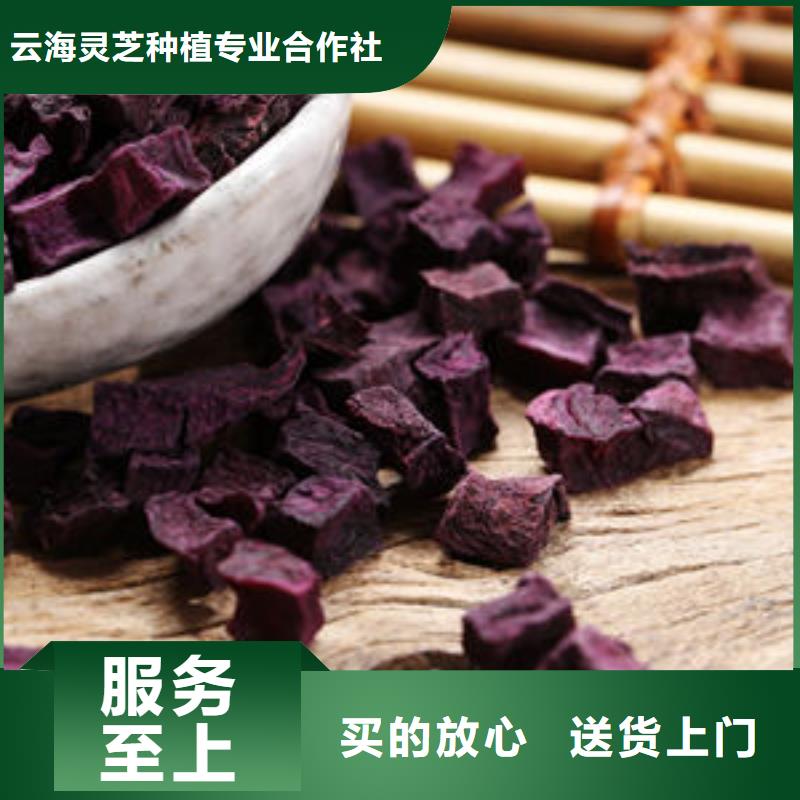 灵芝盆景视频-灵芝盆景-云海灵芝种植专业社(淮安市分公司)服务区域淮阴|清浦|连云港|镇江|常州|宿迁
