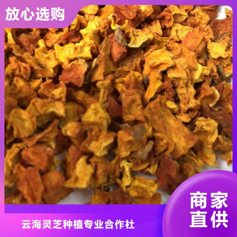 灵芝盆景视频-灵芝盆景(云海)覆盖地域湖南省永州市宁远|冷水滩|岳阳|湘西|郴州|张家界|怀化