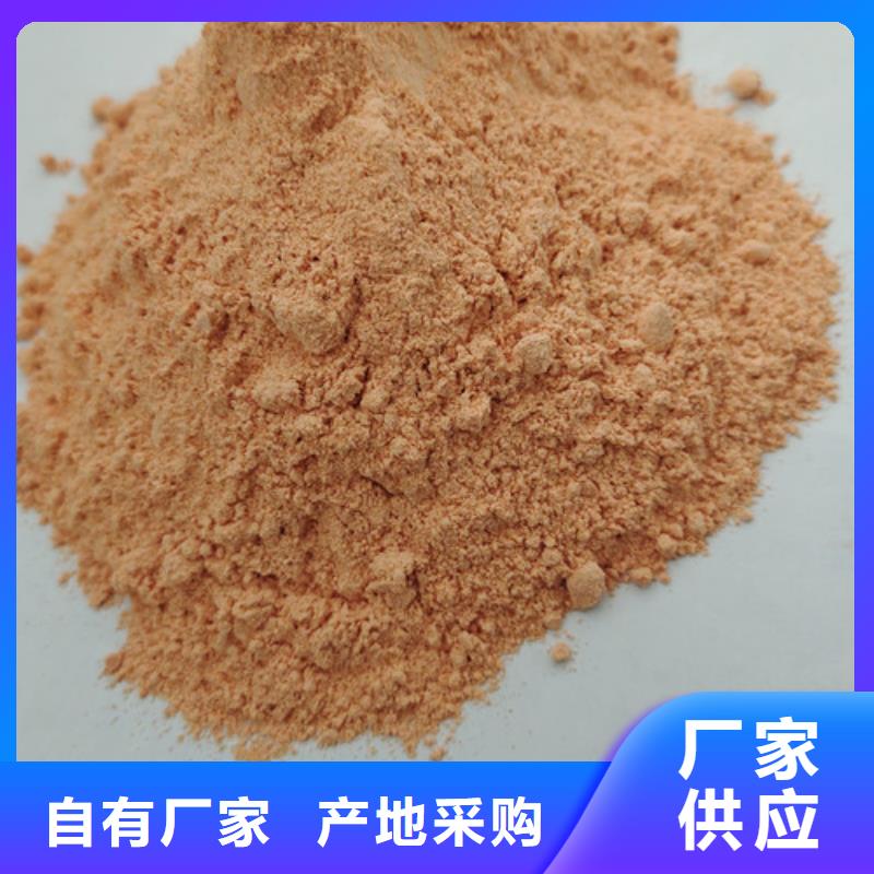 【 胡萝卜粉 灵芝盆景拥有核心技术优势】|灵芝盆景-云海灵芝种植专业社(苏州市分公司)