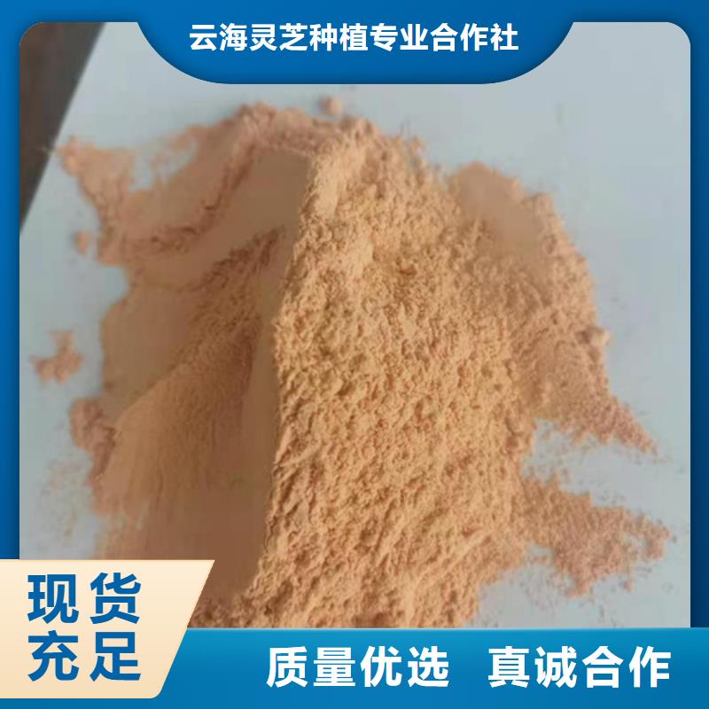 【胡萝卜粉】灵芝破壁孢子粉用心制造