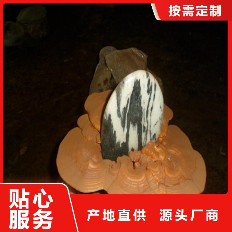 性价比高的破壁灵芝孢子粉厂家