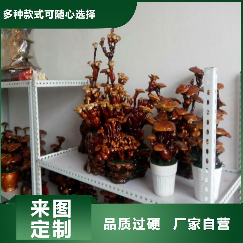 【灵芝孢子粉灵芝切片快捷物流】
