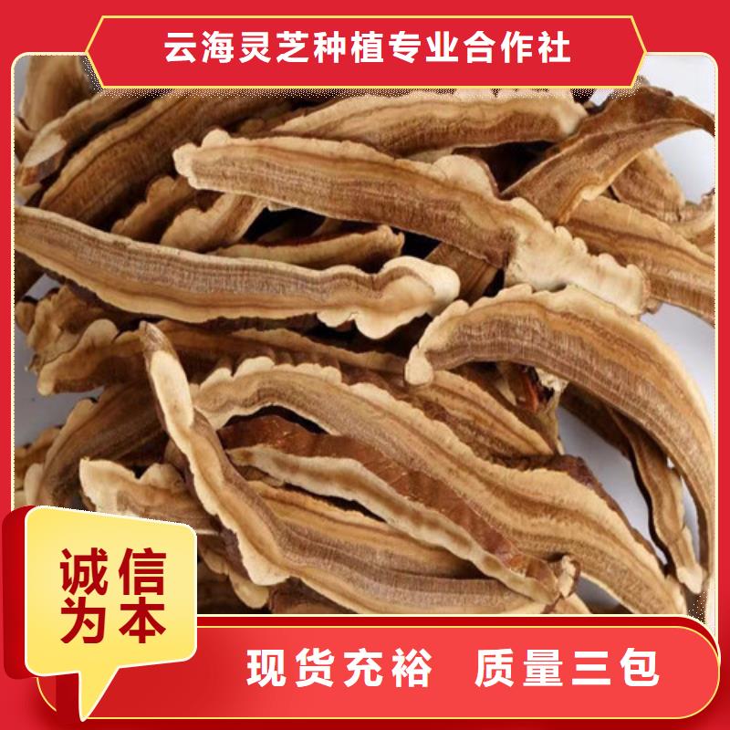 源汇灵芝切片是什么味道