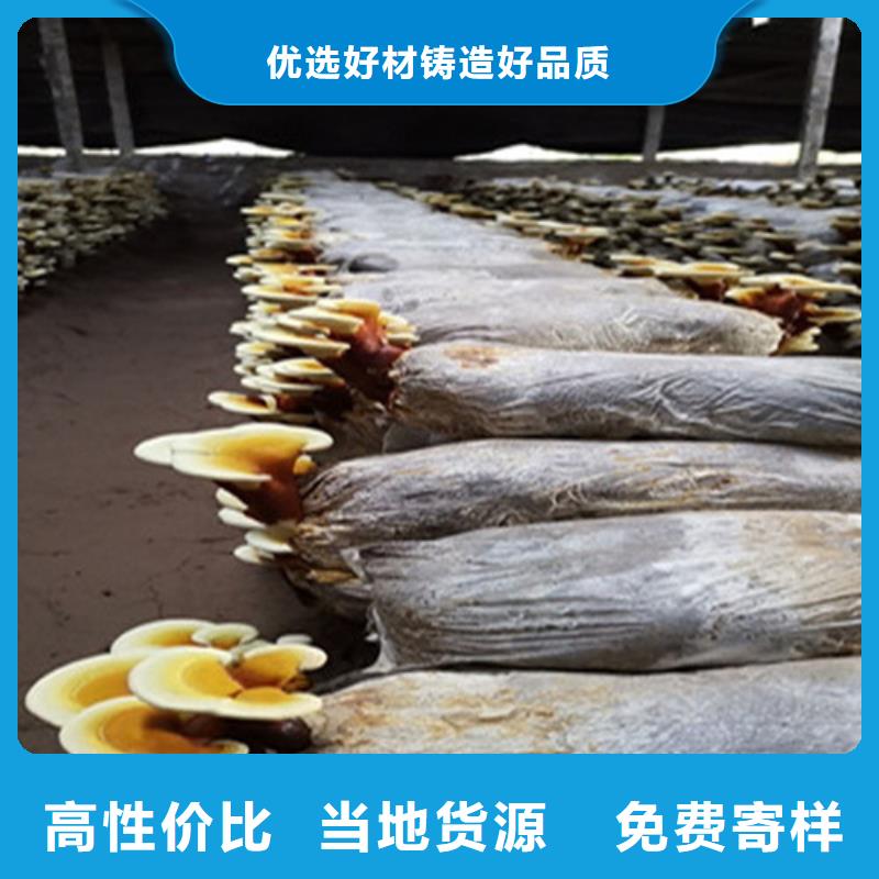 灵芝孢子粉供货及时
