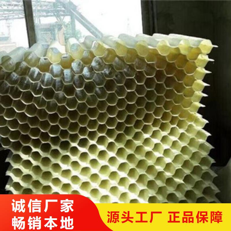 蜂窝斜管-柱状活性炭专业的生产厂家