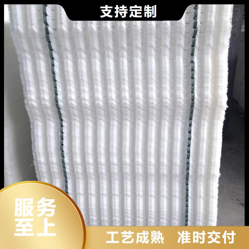 蜂窝斜管-柱状活性炭专业的生产厂家