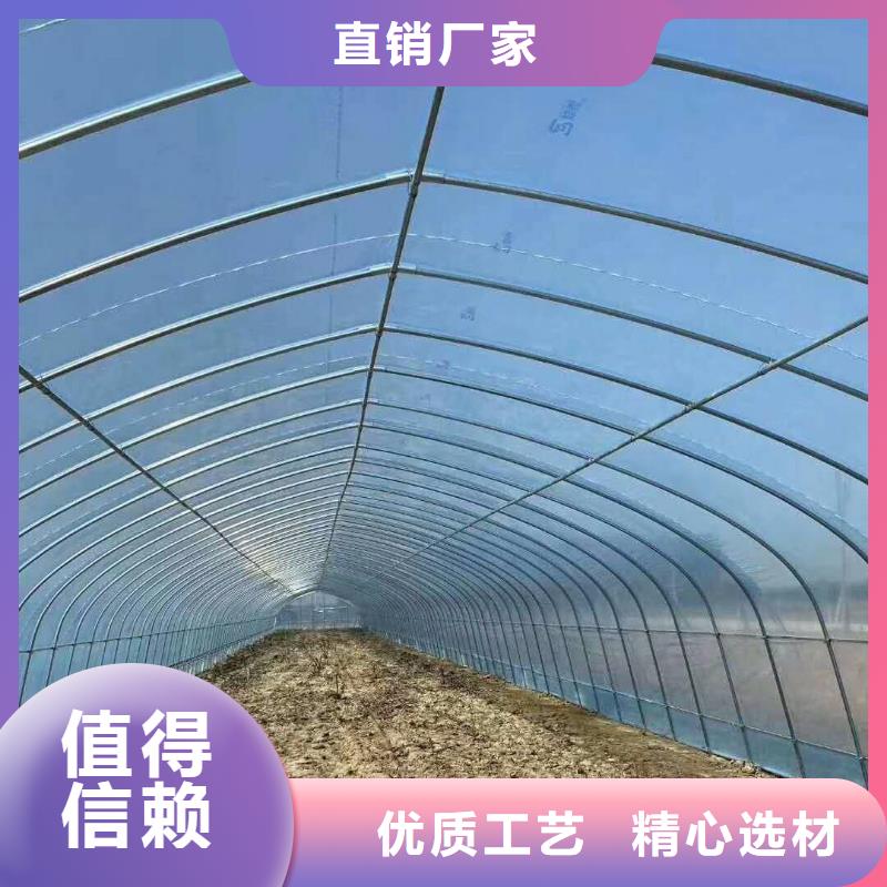蔬菜大棚管报价批发