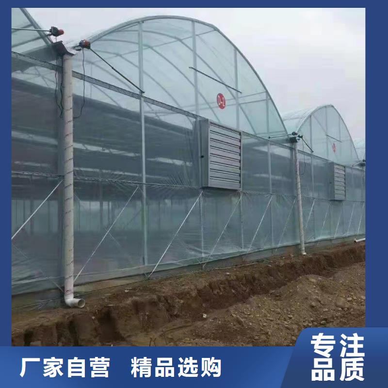 大棚管温室大棚管货品齐全