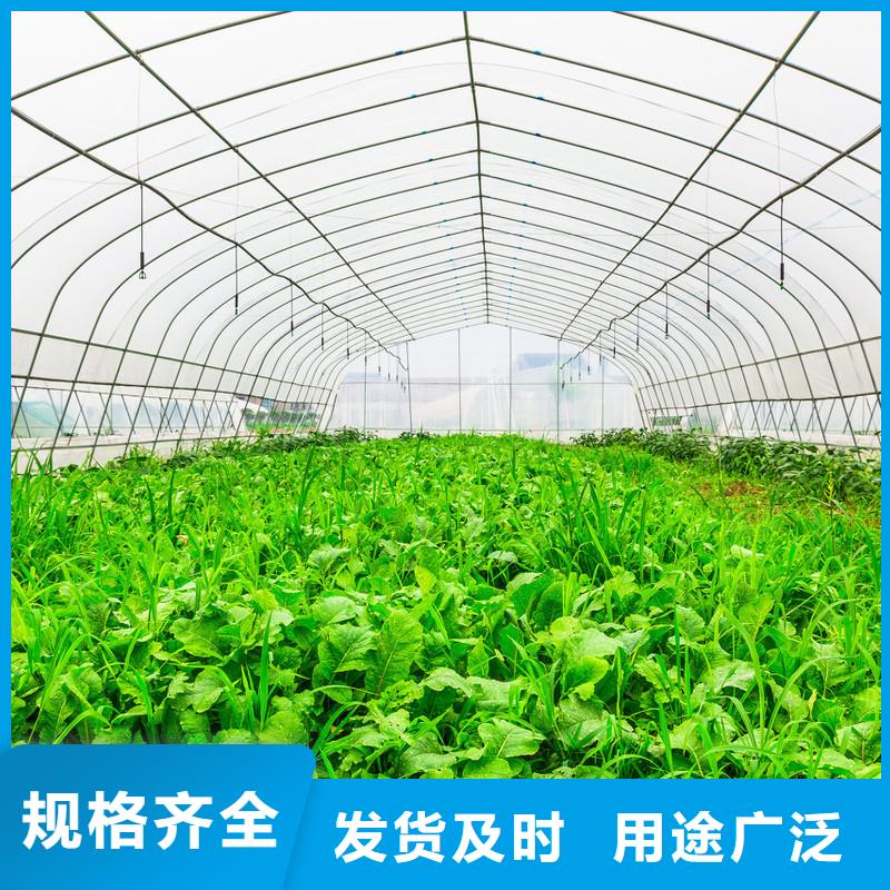 大棚管-温室大棚管交货准时