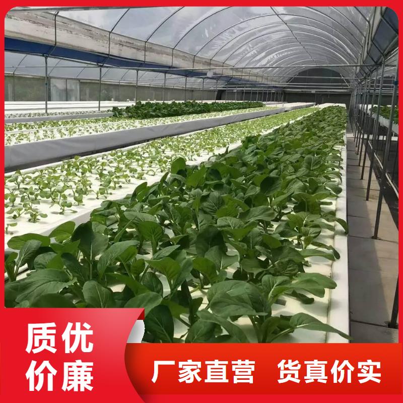 大棚管温室大棚管货品齐全