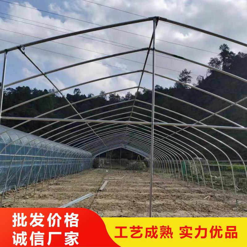 大棚管低价货源