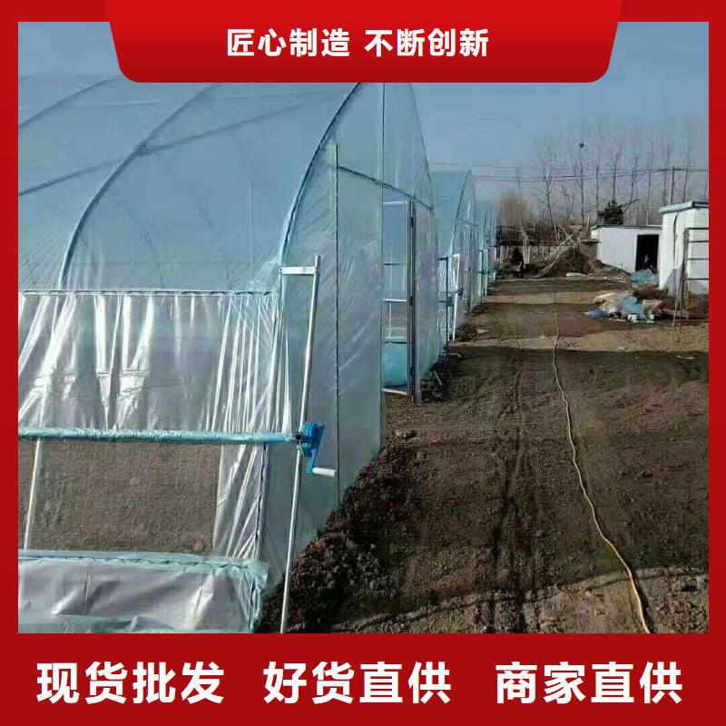 大棚管温室大棚管货品齐全