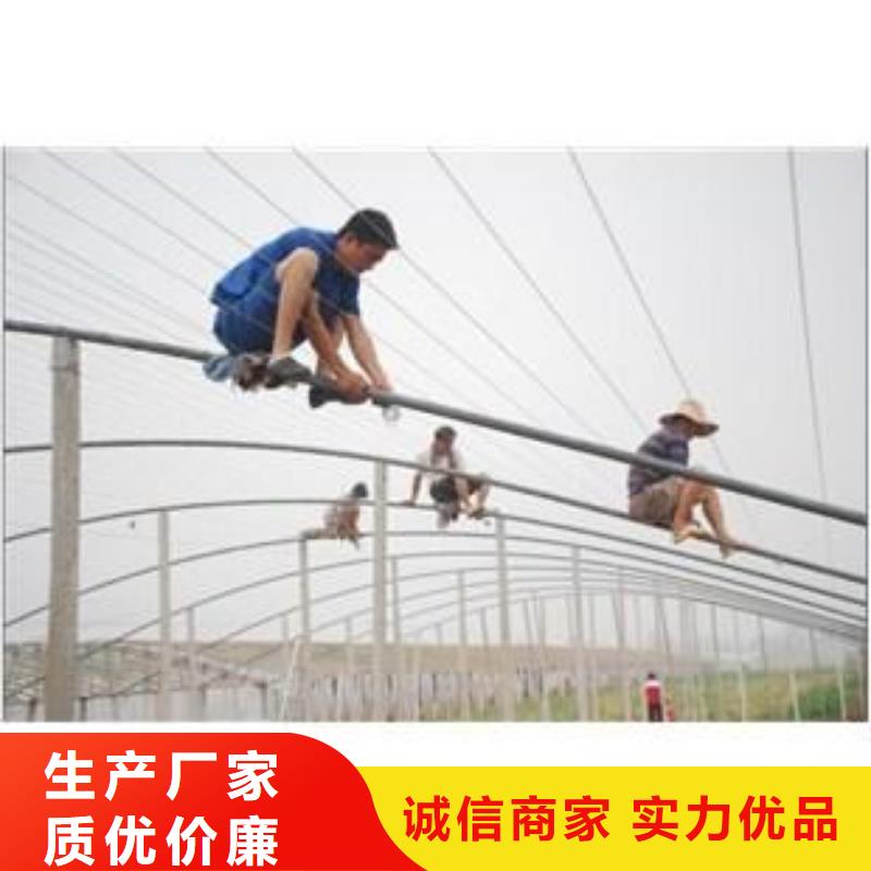 大棚管_镀锌方管今日新品