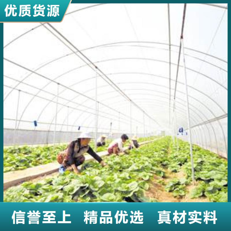 大棚管大棚管厂家做工细致