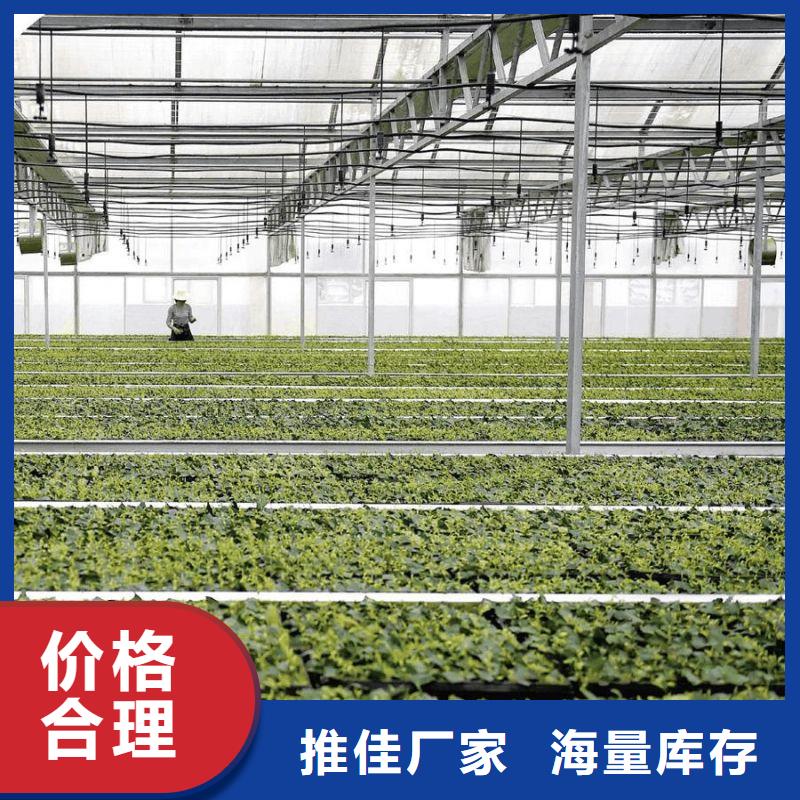 县连栋镀锌钢管实体厂家