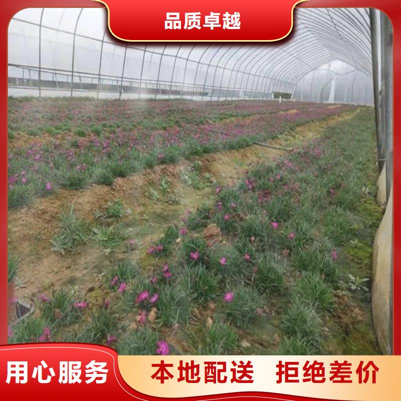 大棚管2大棚管真正的源头厂家