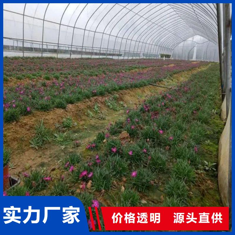 大棚管2温室大棚管多种规格库存充足