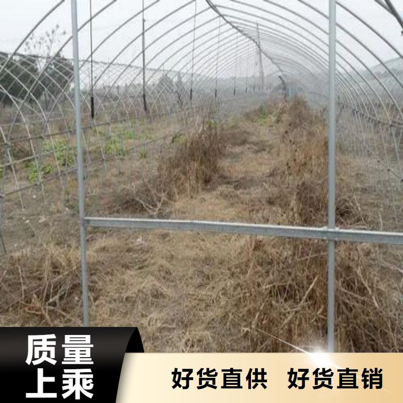 方矩管视频-方矩管|广东省揭阳市|揭东|普宁|汕头|汕尾|中山|江门|梅州|阳江
